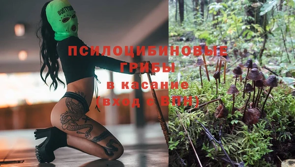 спиды Алексин
